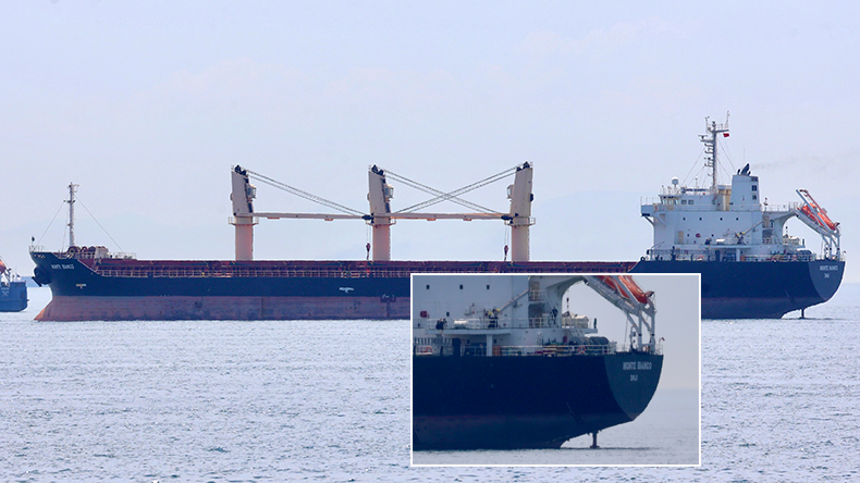 Bulker Monte Bianco waiting off Istanbul 