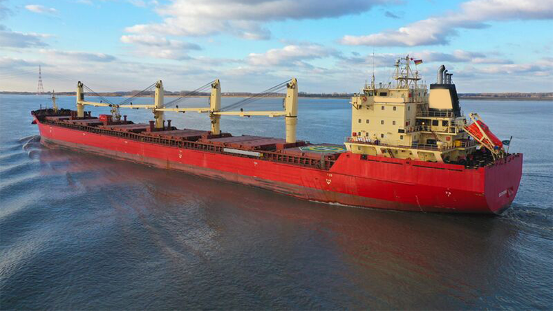 Bulk carrier Federal Leda at River Elbe