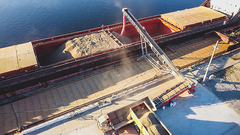 Ukrainian grain exports rebound as ship arrivals near pre-war levels - Vimarsana News