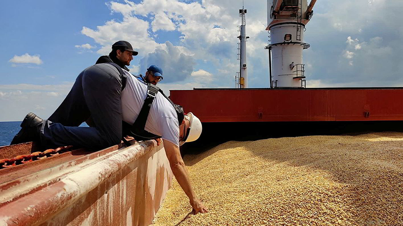 Inspection checking grain cargo on Razoni